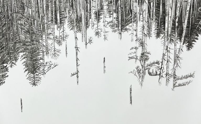 3) Marianne Lang, Windwurf, Tusche auf Papier,140x100cm, 2025