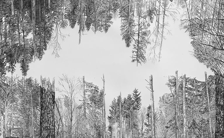 4) Marianne Lang, Windwurf, Tusche auf Papier,1234x150cm, 2025
