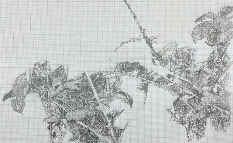 7)Marianne Lang. Vermessung der Welt 90x70cm, Bleistigt auf Papier, 2023