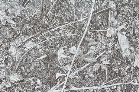 1) Bilddaten Foto, Marianne Lang, Vermessung der Welt, Bleistift auf Papier, 90x70cm, 2024