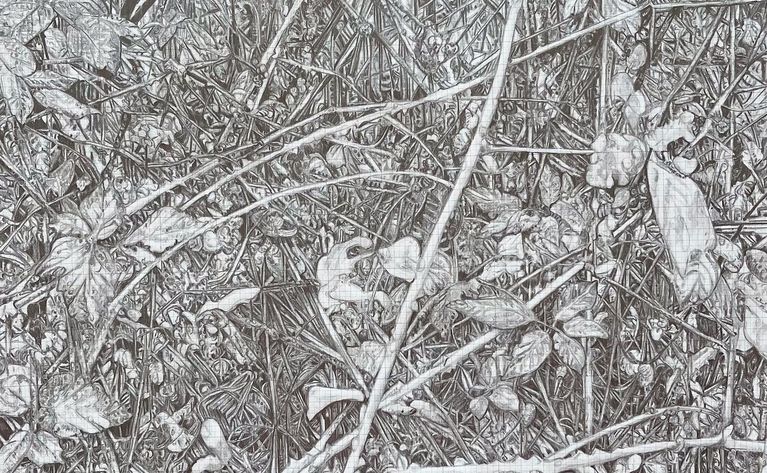 1) Bilddaten Foto, Marianne Lang, Vermessung der Welt, Bleistift auf Papier, 90x70cm, 2024