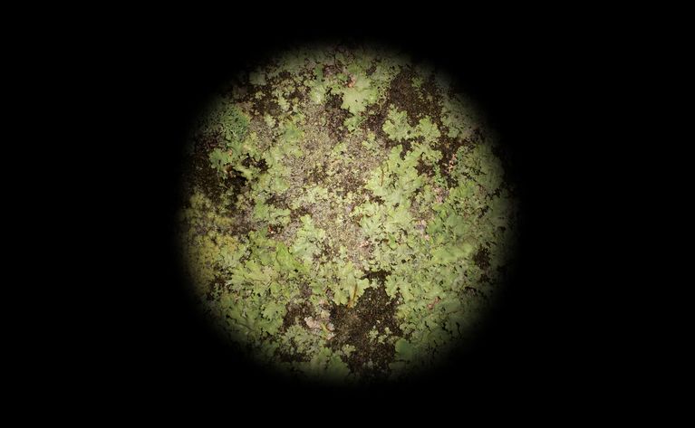 EXPORT.00_01_31_00.Standbild010