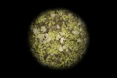 MichaelHeindl_FromSomethingToNothing_2026_c_Bildrecht