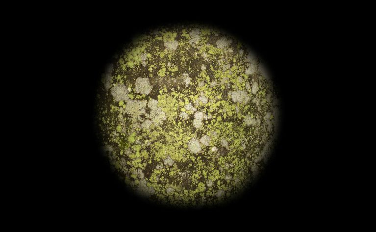 MichaelHeindl_FromSomethingToNothing_2026_c_Bildrecht