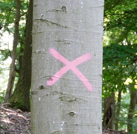 Still_FormSomethingToNothing_1 Kopie