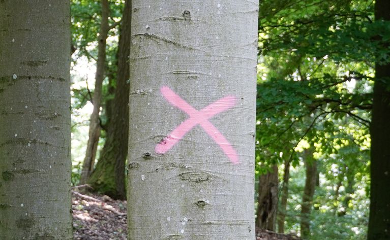 Still_FormSomethingToNothing_1 Kopie