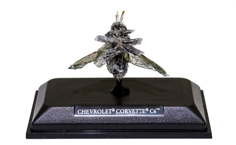 windshield_diamonds_(wild_bee)_web